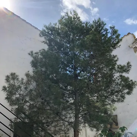 La Maison Del Gallego לינה וארוחת בוקר Villanueva de Gállego